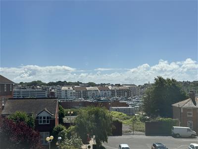 Picture 11